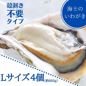 [期間限定価格][いわがき 殻なしLサイズ4個]岩牡蠣 生食可 冷凍 牡蛎 牡蠣 かき カキ 岩牡蠣 いわがき 冷凍 殻なし ハーフシェル 手軽 お歳暮 年末年始 数量限定