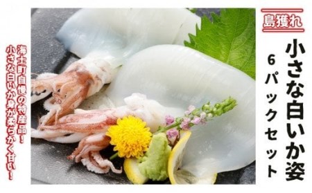小さな白いか姿6パックセット