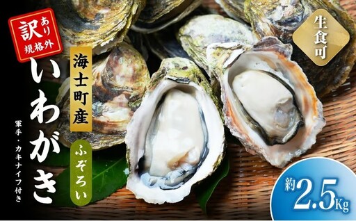 [お申し込みは5/20まで][規格外品][5月限定]海士町産いわがき 規格外 2.5kgセット! 牡蠣 牡蛎 いわがき 岩牡蠣 殻付き 海鮮 生食 牡蠣ナイフ付き