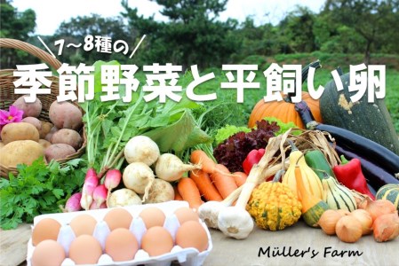 季節の野菜詰め合わせ(7〜8種)と平飼い卵セット!農薬不使用だから安心安全!