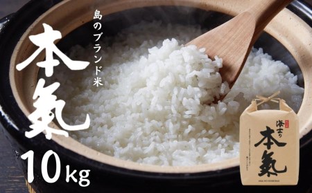 [ 本氣米10kg]甘くてもっちり島のブランド米 本氣米 お米 精米 白米 弁当 ごはん ご飯 おにぎり 年末年始 お正月 お歳暮 御歳暮 ギフト