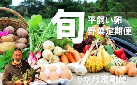 [季節の野菜 定期便6ヵ月]採れたて!旬のお野菜定期便 新鮮 採れたて 産地直送 旬野菜 朝採れ 有機野菜 年末年始 鍋 お正月 お歳暮 御歳暮 ギフト 定期便