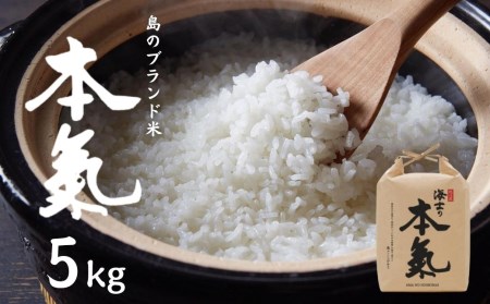 [本氣米5kg]甘くてもっちり島のブランド米 本氣米 お米 精米 白米 弁当 ごはん ご飯 おにぎり 年末年始 お正月 お歳暮 御歳暮 ギフト