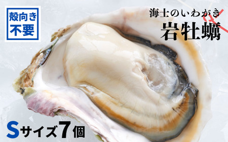 [のし付き 海士のいわがき]殻なし Sサイズ 7個 岩牡蠣 生食可 新鮮クリーミー 冷凍 牡蛎 牡蠣 かき カキ 岩牡蠣 いわがき CAS CAS冷凍 年末年始 鍋 お正月 お歳暮 御歳暮 ギフト