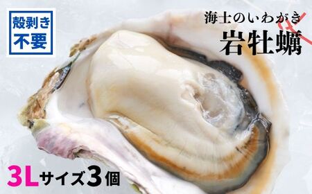 [のし付き]ブランド岩牡蠣「春香」殻なし巨大3Lサイズ×3個(960g〜1.2kg)殻剥き不要 お歳暮に