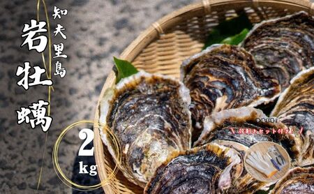 [知夫里島産 岩牡蠣 2kg(殻剥き道具セット付)]ブランド 岩牡蠣 生食可 牡蛎 牡蠣 かき