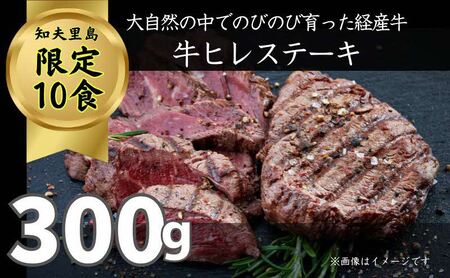 限定10セット[知夫里島]経産牛ヒレステーキ300g 牛肉 経産牛 放牧 牛ヒレステーキ用 肉 冷凍 ステーキ 赤身