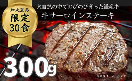 限定30セット[知夫里島]経産牛サーロインステーキ300g ステーキ 牛肉 経産牛 放牧 黒毛和牛 国産 サーロイン 赤身