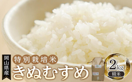 岡山県産 おかやま有機無農薬栽培認定 きぬむすめ 精米 2kg
