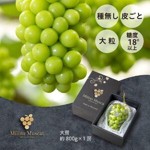 シャイン マスカット 2026年 「MiiinoMuscat」1房(約800g)ブドウ 葡萄 岡山 国産 フルーツ 果物 ギフト