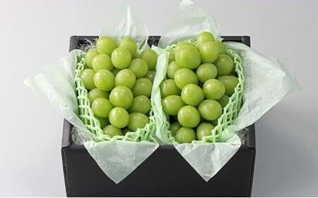 ぶどう 2025年 先行予約 農家こだわりのシャインマスカット 2房 合計約1.0kg 贈答クラス [ Nini farm 農家 直送 ] 