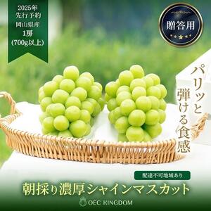 ぶどう 2025年 先行予約 シャイン マスカット 1房(700g以上)[第1回全国ぶどう選手権入賞]| 贈答クラス ブドウ 葡萄 岡山県産 国産 フルーツ 果物 ギフト OEC KINGDOM ぶどう家