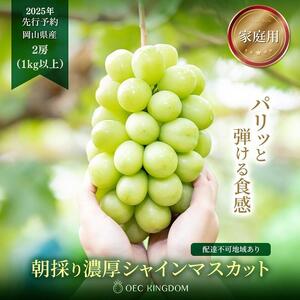 ぶどう 2025年 先行予約 [ご家庭用] シャイン マスカット 2房(合計1kg以上) ブドウ 葡萄 岡山県産 国産 フルーツ 果物 OEC KINGDOM ぶどう家