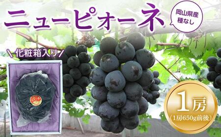 ぶどう 2026年 ニュー ピオーネ 1房(1房約600g前後)産地直送 ぶどう ピオーネ