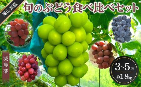 ぶどう 2025年 先行予約 旬のぶどう食べ比べセット 約1.8kg 3～5房 減農薬 ハウス栽培 ブドウ 葡萄  岡山県産 国産 フルーツ 果物 ギフト ばんの農園