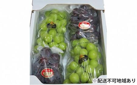 Ԃǂ 2026N RY VC}XJbgEsI[l 2 lߍ킹 v2kgi3`4[jԂǂAC