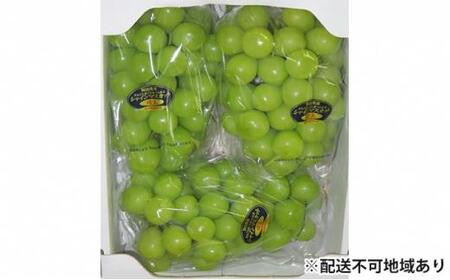 Ԃǂ 2026N RY VC}XJbg 3[`4[ 2kg   ԂǂAC