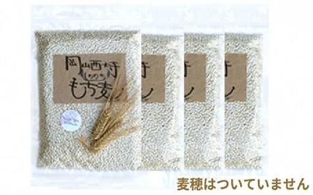 ߘa7NY R厛̍K  (L`)  ʌ  2kg(500g×4) |  