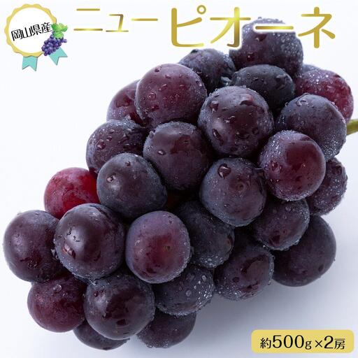 ニュー ピオーネ 約500g×2房 ｜ ピオーネ