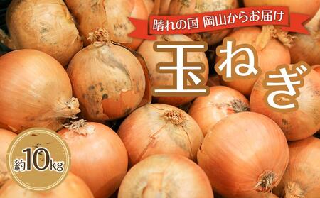 玉ねぎ 岡山市産 約10kg 2025年 先行予約 野菜 たまねぎ タマネギ オニオン