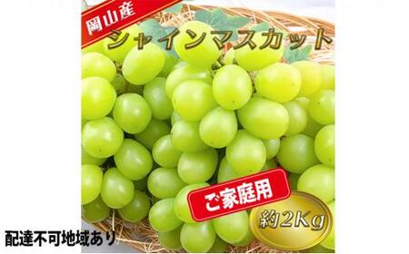 ぶどう 2025年 先行予約 ご家庭用 シャイン マスカット 約2kg 糖度抜群! [9月上旬〜順次発送分] ブドウ 葡萄 岡山県産 国産 フルーツ 果物