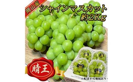 晴王 シャインマスカット たっぷり2kg!9月上旬以降順次発送 | シャインマスカット