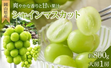 シャインマスカット 大房1房 約800g 贈答用 | シャインマスカット
