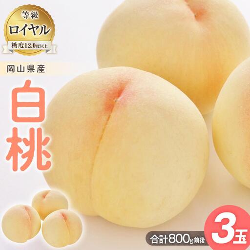 桃 2026年 白桃 3玉入り 等級: ロイヤル 糖度12.0度以上 合計800g前後 もも モモ 岡山県産 国産 フルーツ 果物 ギフト