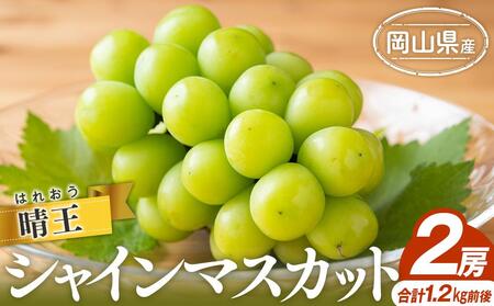 シャインマスカット 2025年 先行予約 晴王 2房 合計1.2kg前後 