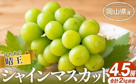シャインマスカット 2025年 先行予約 晴王 4〜5房 合計2.0kg前後 