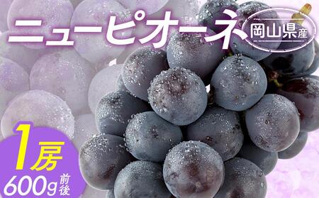 ぶどう ニュー ピオーネ 1房 600g前後 | ピオーネ