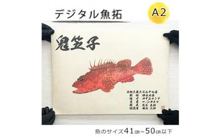 デジタル魚拓 A2サイズ オーダーメイド 和紙 フィッシング 釣り 魚拓