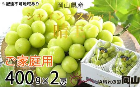 Ԃǂ 2026N  ƒp VC }XJbg  400g×2[ uhE   RY Y t[c ʕ