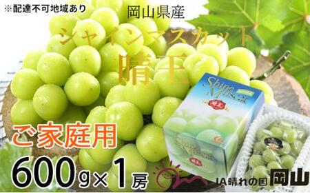 ご家庭用 シャインマスカット 晴王 約600g×1房 | シャインマスカット