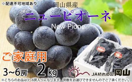 ご家庭用 ニュー ピオーネ 約400g×2房 岡山県産｜ ピオーネ