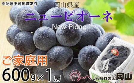 ぶどう 2025年 先行予約 ご家庭用 ニュー ピオーネ 約600g×1房 ブドウ 葡萄 岡山県産 国産 フルーツ 果物