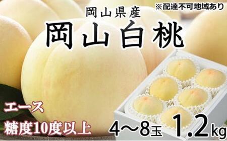 2026年 先行予約 岡山 白 桃 エース4〜8玉 約1.2kg JAおかやま(早生種・中生種) | 桃