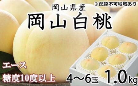 2026年 先行予約 岡山 白 桃 エース 4〜6玉 約1kg JAおかやま(早生種・中生種)| 桃
