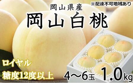 桃 2025年 先行予約 岡山 白桃 ロイヤル 4〜6玉 約1kg JAおかやまのもも(早生種・中生種)岡山県産 [ モモ モモ モモ モモ モモ ]