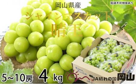 Ԃǂ 2026N  VC }XJbg  5[`10[ 4kg uhE   RY Y t[c ʕ Mtg