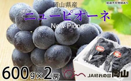 Ԃǂ 2026N  j[ sI[l 600g×2[ uhE   RY Y t[c ʕ Mtg