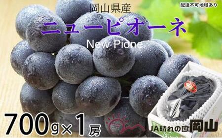 Ԃǂ 2026N  j[ sI[l 700g×1[ uhE   RY Y t[c ʕ Mtg