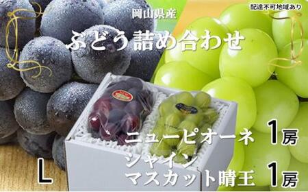 ぶどう 2026年 ニュー ピオーネ 1房 約400g シャイン マスカット 晴王 1房 約400g(Lサイズ)詰め合わせ 岡山県産 国産 フルーツ 果物 ギフト