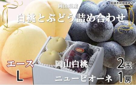 桃 ぶどう 2026年 岡山 白桃 エース 2玉×約200g(Lサイズ、早生種・中生種)ニュー ピオーネ 1房約400g 詰め合わせ 岡山県産 フルーツ