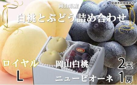 桃 ぶどう 2026年 岡山 白桃 ロイヤル 2玉×約200g(Lサイズ、早生種・中生種)ニュー ピオーネ 1房約400g 詰め合わせ 岡山県産 フルーツ