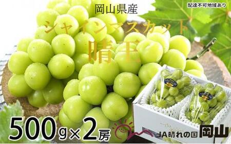 VC}XJbg  500g×2[ b  VC}XJbg