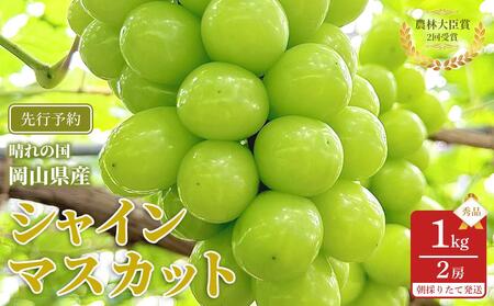 ぶどう 2025年 先行予約 シャインマスカット 秀品 約1kg 合計2房 農林大臣賞受賞 2025年6月下旬から発送 
