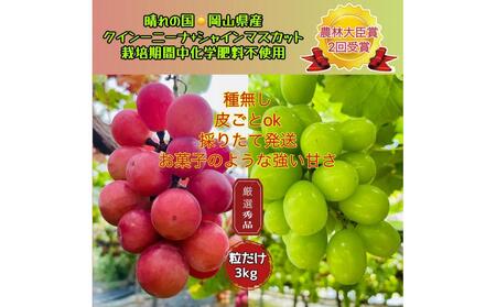 Ԃǂ2026N NC[j[i VC}XJbg I Gi  3kg _ёb܎ R Y ʕ t[c VC }XJbg 2026N8{甭