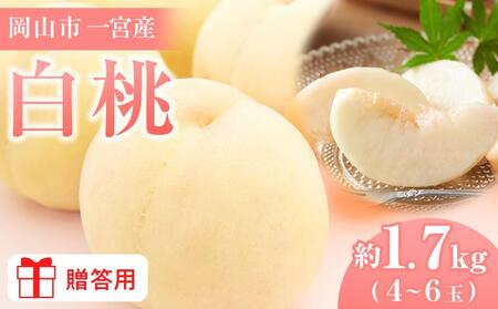 2026年 先行予約 贈答用 岡山市一宮産 白 桃 (早生、中生種)約1.7kg 4〜6玉 | 桃