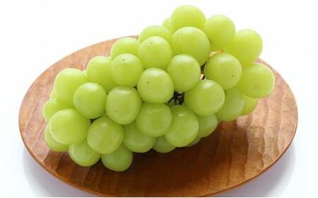 岡山のシャインマスカット1房(1kg以上) | フルーツ 果物 くだもの シャインマスカット マスカット 葡萄 ぶどう ブドウ ギフト 贈答用 プレゼント 岡山県産